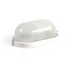 2454 Бастион | Светильник SKAT LED-220 E27 IP54
